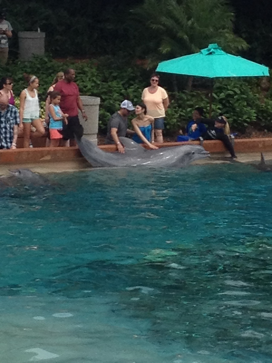 Florida2015_050.jpg