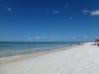 Florida2015_383.jpg